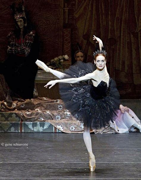 Black Swan Ballet Photography Dance Photography Swan Lake