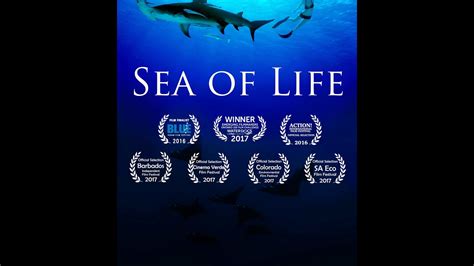 Trailer For Sea Of Life Youtube