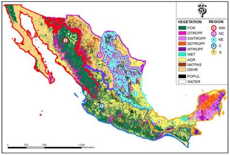 Map Of Vegetation Types And Regions Source Inegi Land Use Map Series