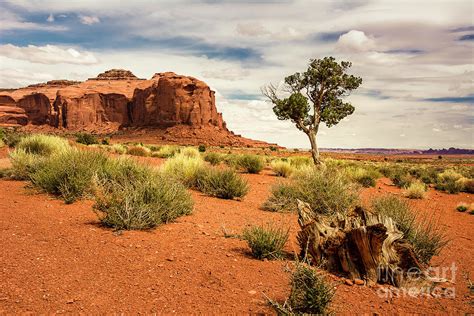 High Desert Landscape Photograph By John Bartelt Pixels