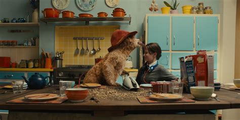 Paddington movie | the official us pinterest account for paddington 2. Film Friday - Paddington Bear | Brown house, Paddington ...