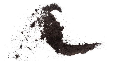 Black Fertilise Soil Prêt à Planter De Bons Sols Organiques Avec