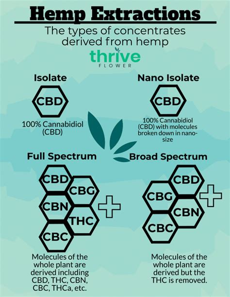 Types Of Cbd Explained Easy Thrive Flower Learn Now