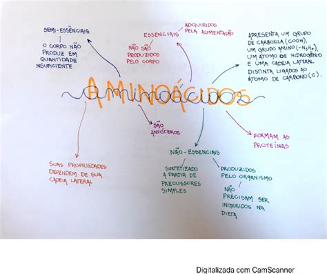 Mapa Mental AminoÁcidos Fundamentos De Bioquímica