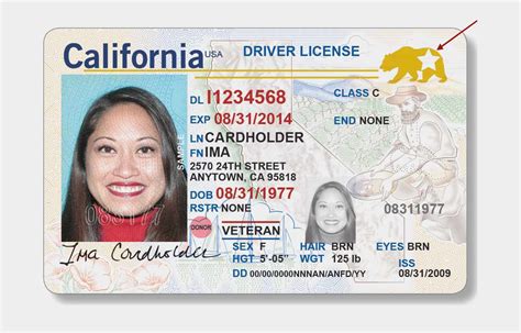 Free 50 California Drivers License Template Sample Free