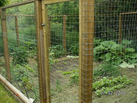 Rhubarb is the stalk of a leafy perennial plant. Carola's Alberta Garden 2018: Weeding Day