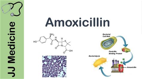 Does Amoxicillin Make You Tired Flash Uganda Media