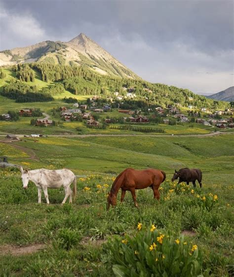 Crested Butte Horseback Riding Travel Crested Butte