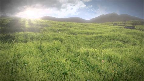 Realistic Grass Field Blender 26 Hd Youtube