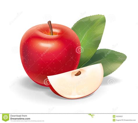 Red Apple Illustration Stock Vector Illustration Of Vegetables
