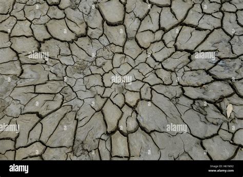 Dry Mud Drawing Cracks In Earth Ground For Background Or Texture Stock