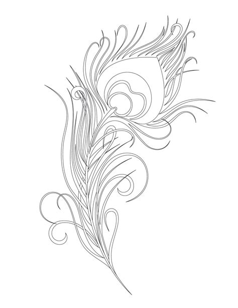 Peacock Feather Coloring Page