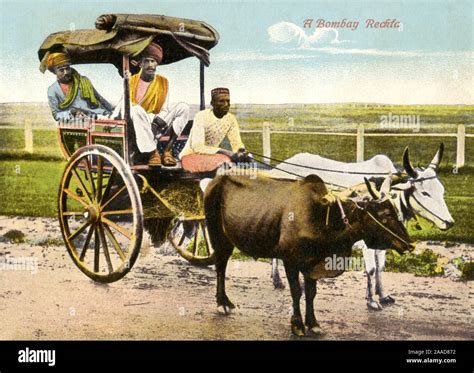 Cattle Drawn Carriage In Bombay Reckla Postcard Stock Photo Alamy