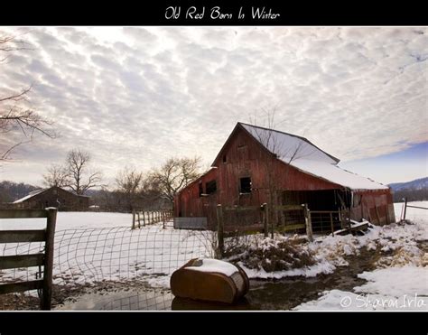 Pictures Of Old Barns An Old Red Barn In Winter By Sharon Irla I