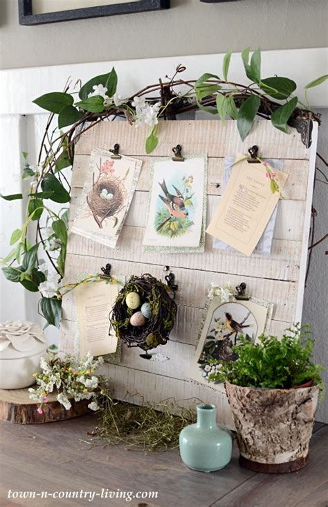 Create A Spring Nature Board With Free Bird Prints Town And Country Living