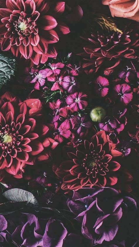 Terbaru 24 Flower Wallpaper Iphone Xr Gambar Bunga Indah