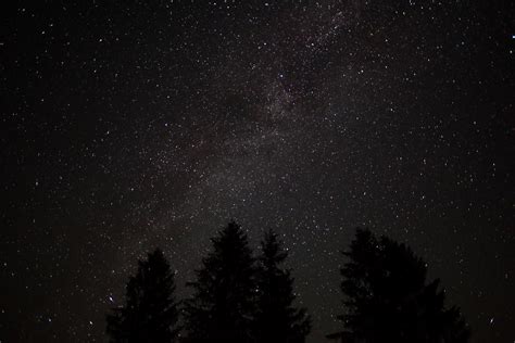 Forest Night Sky Spruce Trees Stars The Sky Free Nature Pictures By