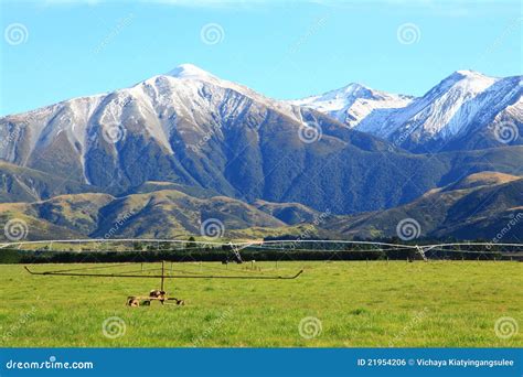 Southern Alps In New Zealand Stock Photo Image Of Covered Park 21954206