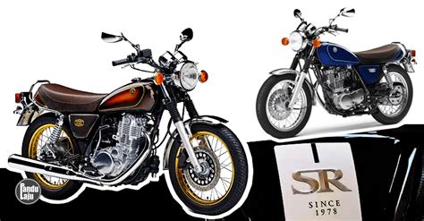 Kelebihan haiwan yang hidup berkumpulan. Yamaha Kemas Kini SR400 Sempena Ulang Tahun ke-40 ...