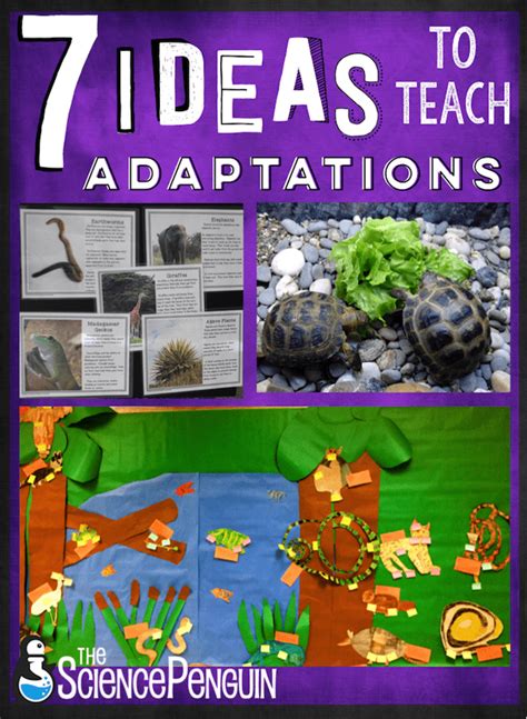 7 Ideas To Teach Animal Adaptations — The Science Penguin
