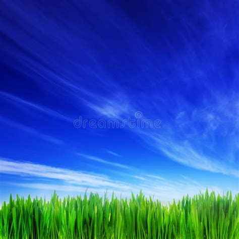 High Resolution Image Of Fresh Green Grass And Blue Sky