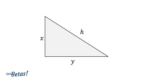 Problemas De Pitagoras Teorema De Pitagoras Ejemplos Resueltos My Xxx