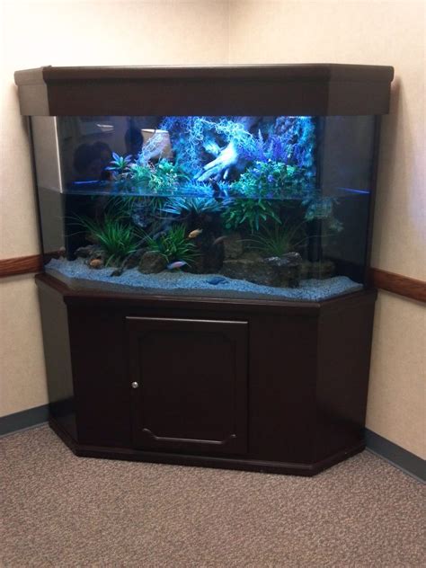 New And Popular Aquatic Displays Premier Aquarium Services Minnesota