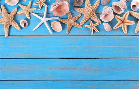 Beach Background Board Star Shell Summer Starfish And Background