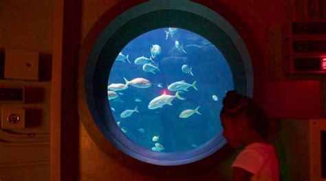 Visit Virginia Aquarium And Marine Science Center In Dam Neck Expedia