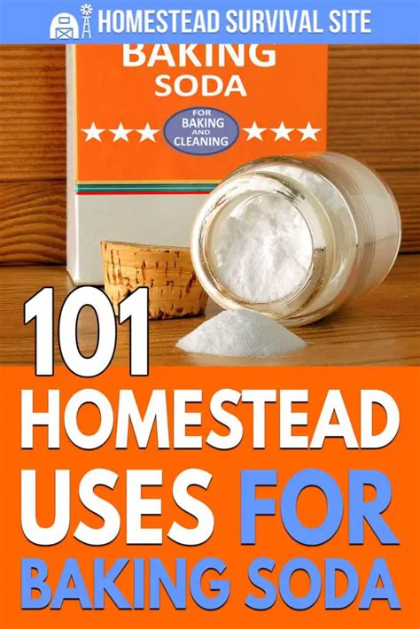 101 Homestead Uses For Baking Soda Homestead Survival Site