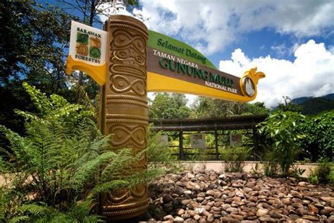 Taman Negara Gunung Mulu Ada 'Sarawak Chamber' Ruang Bawah Tanah