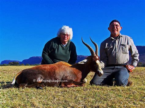Hunting Blesbok South Africa With The Best African Blesbok Hunters