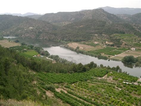 El riu ebre tenia un. El Riu Ebre : Grows on You