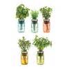 So whether you forget to water, overwater, or both, we've got you covered. Self-Watering Mason Jar Indoor Herb Garden