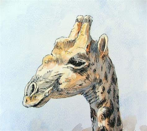 How to Paint a Giraffe using Pen and Ink Washes in Watercolour — Online