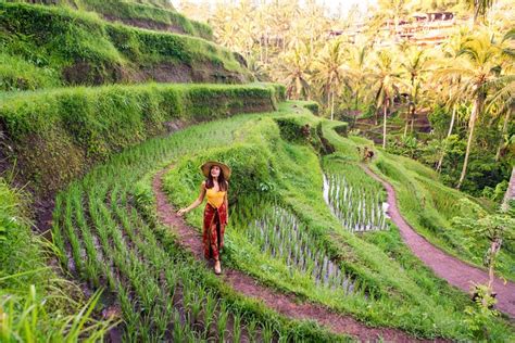 Best Of Ubud Private Day Tour Triphobo