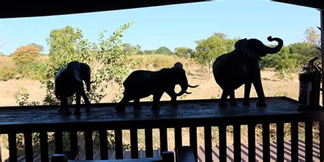 Senyati Safari Camp Chobe Botswana