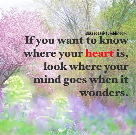 If You Want To Know Where Your Heart Is Look Where Your