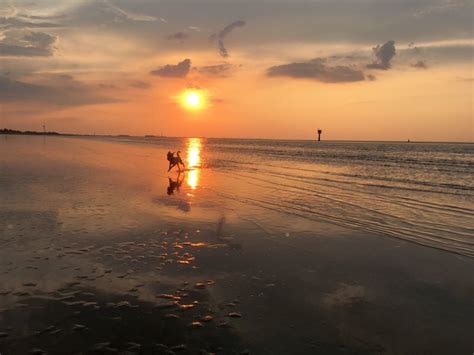 Erhalte wichtige infos zu otterndorf. hundeurlaub-cuxland - Fotos Strand Otterndorf