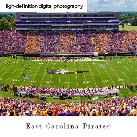East Carolina Pirates Football Panoramic Picture Dowdy Ficklen