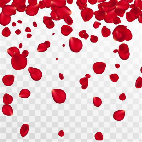 Abstract Background With Flying Red Rose Petals On A White Transparent Background Vector