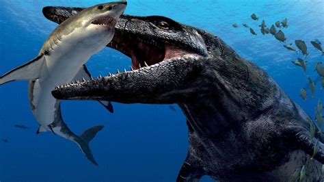 ما هو برنامج predator x لتهكير ببجي موبايل. Pliosaurus, aka "Predator X". The most powerful marine ...