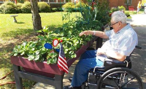 Gardening From A Wheelchair An Enabled Garden Lifeway Mobility