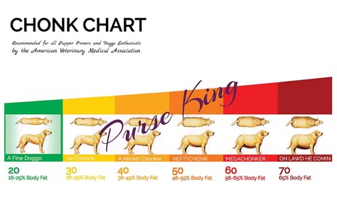 Chonk Chart Chonk Chart Print Fine Boi Good Doggo Cat Etsy Uk