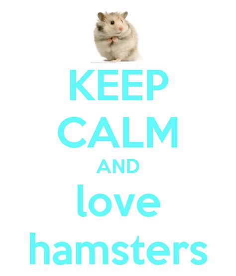 Quotes I Love Hamsters Quotesgram
