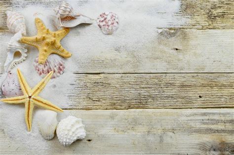 Seashell Animal Crafts Seashells Starfish And Sand On A Rustic