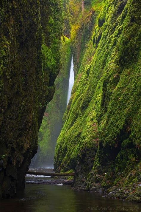 Beautymothernature Oneonta Canyon In T Mother Nature Moments Oregon