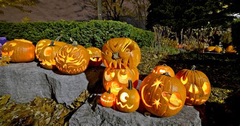 Heres Every Pumpkin Parade Happening In Toronto This Year