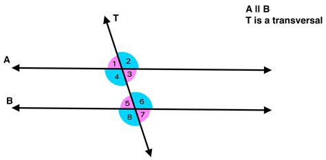 Same Side Interior Angles Explained Mashup Math