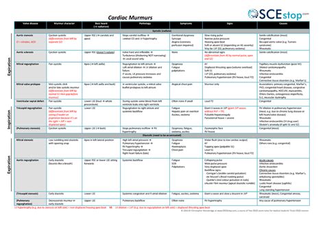 Cardiac Murmurs Revison Summary Table A100 Abdn Studocu